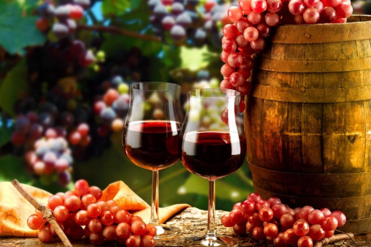 Il vino trentino tra storia cultura tradizioni aneddoti